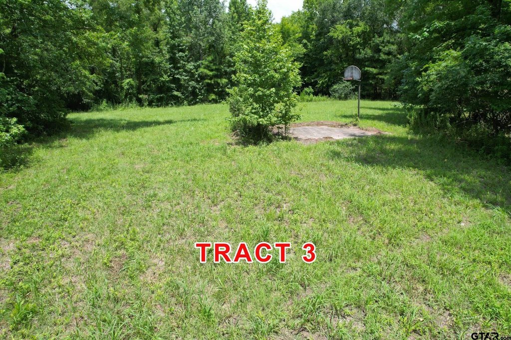 Picture 3