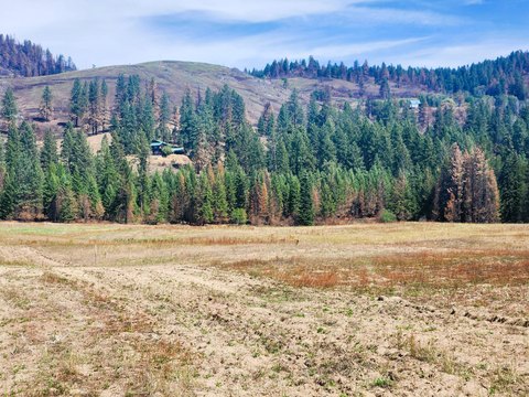 Kettle Falls Acreage with Views