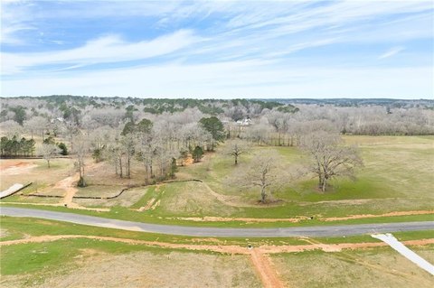 Estate Lot in Auburn