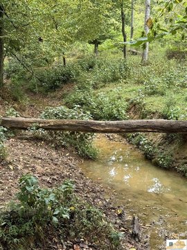 51 Acres Near Glasgow Square