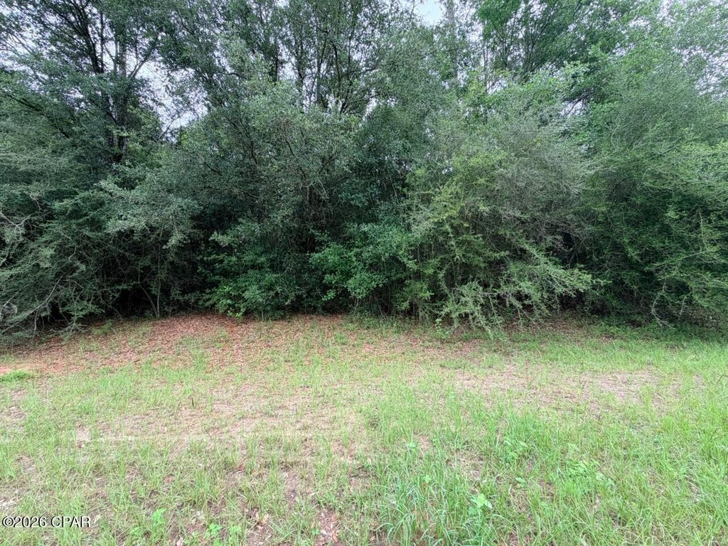 Picture 4