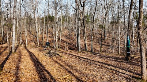 29 Acres of Hunting Land