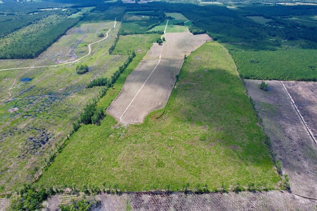 166 Acres in New Zion