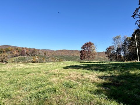 Timber and Cleared Land Tract