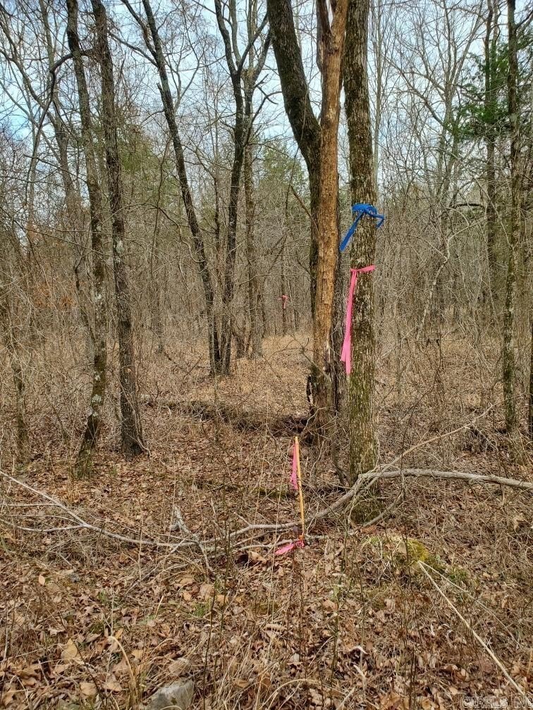 Mena, AR Land For Sale