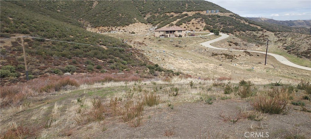 Picture 8