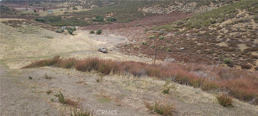 Picture 7