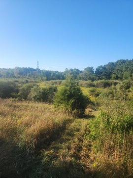 Land, Sheridan, MI