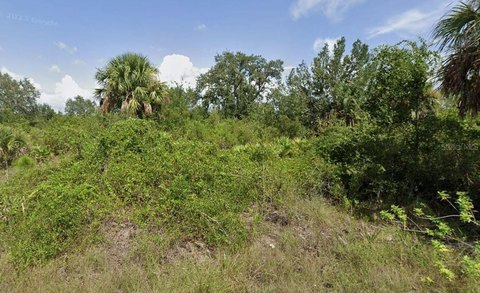 Land, PUNTA GORDA, FL