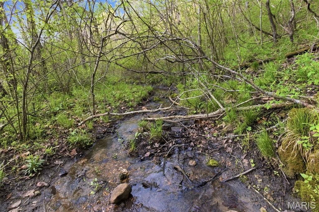 Picture 48