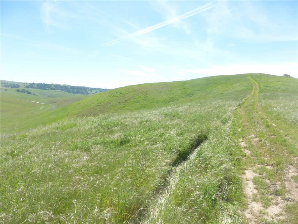 Picture 46