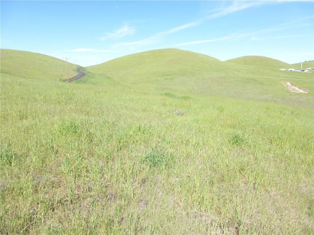 Picture 66