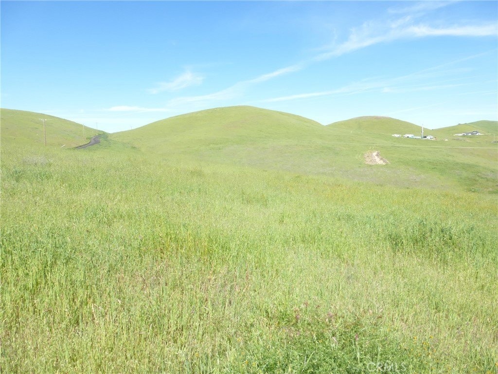 Picture 64
