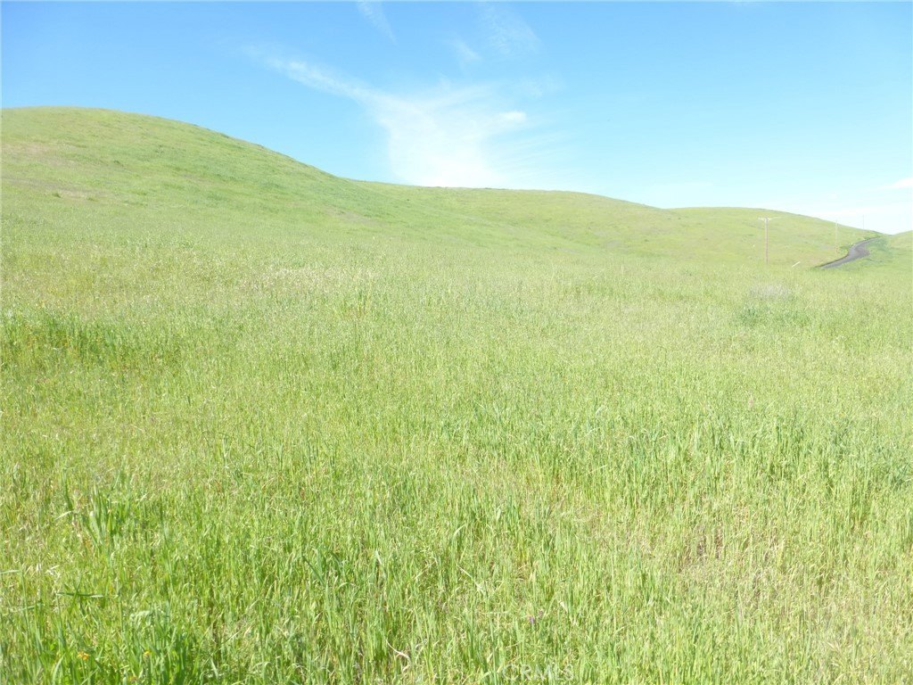 Picture 65