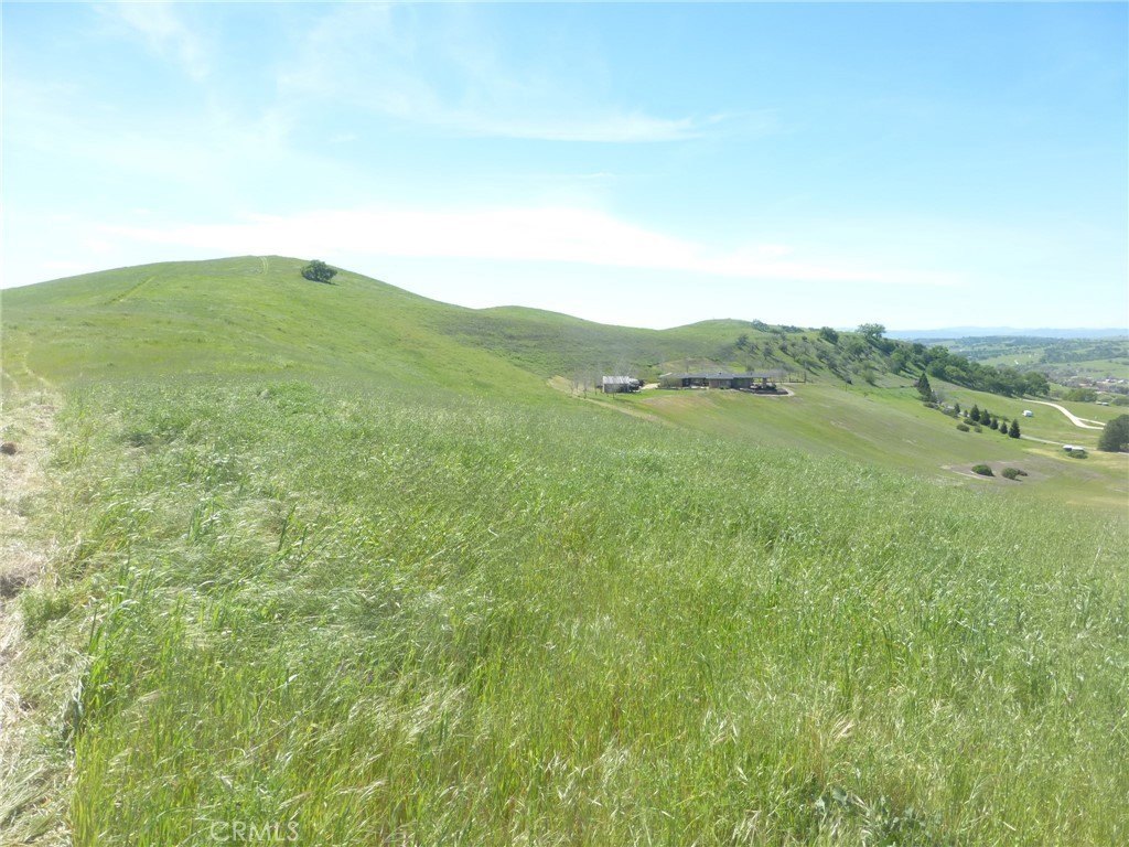Picture 38