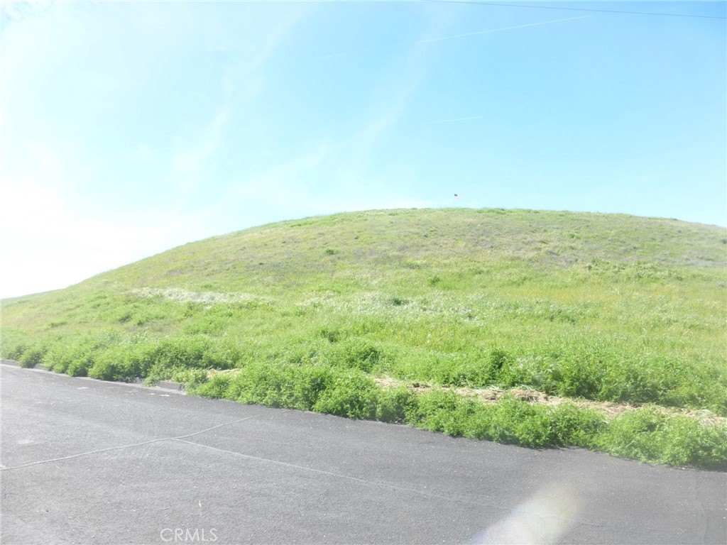 Picture 25