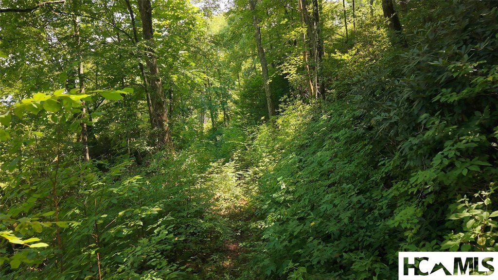 Picture 7
