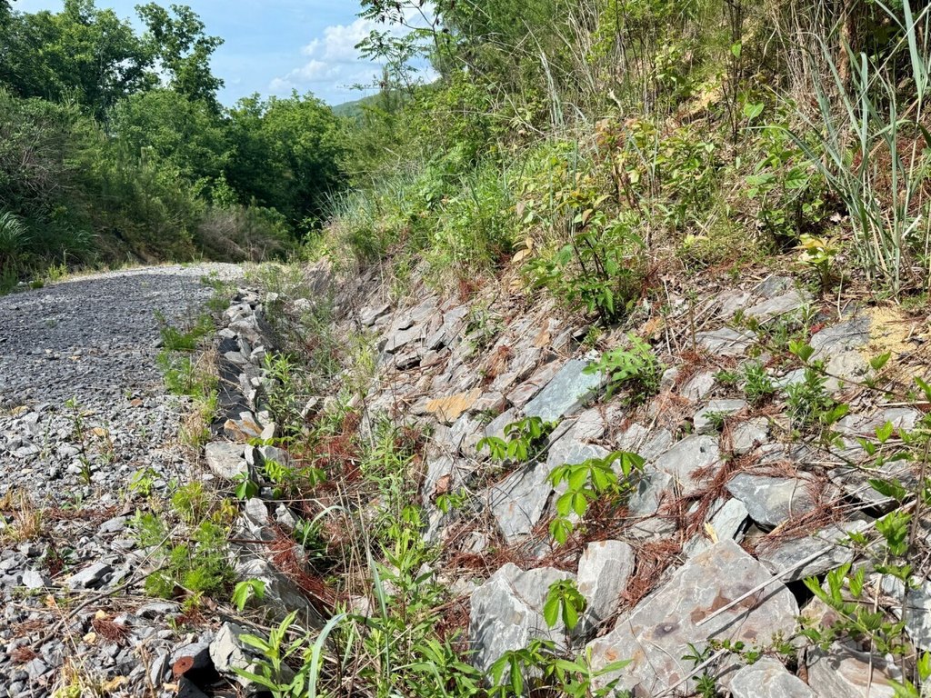 Picture 21