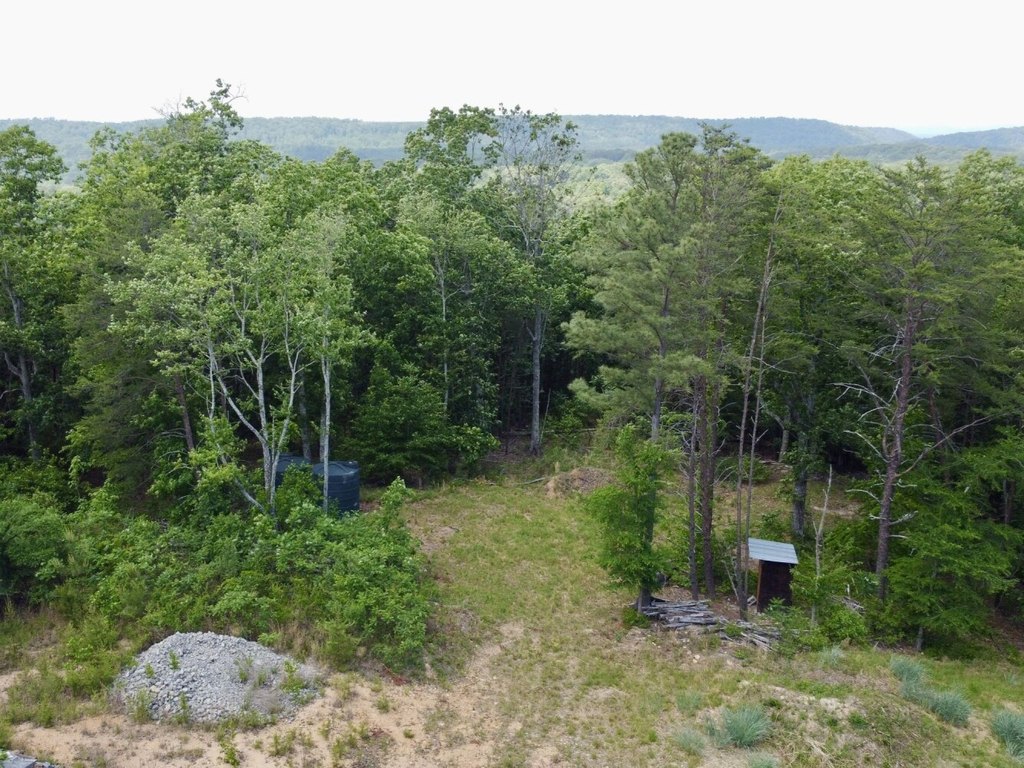 Picture 14