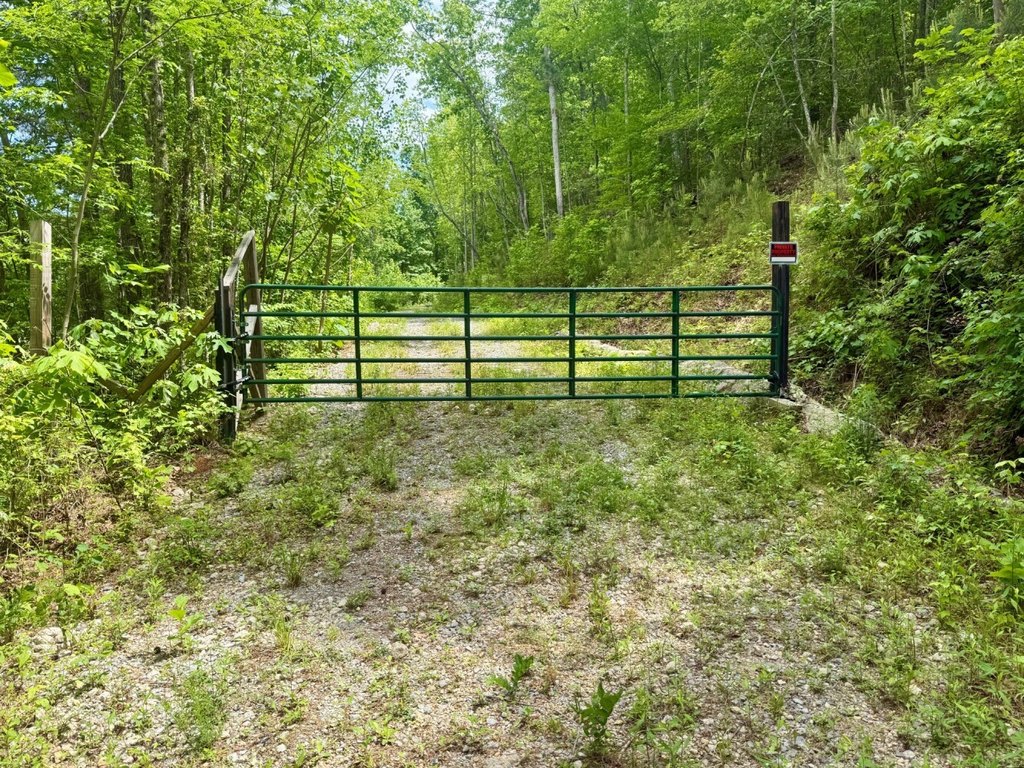 Picture 8