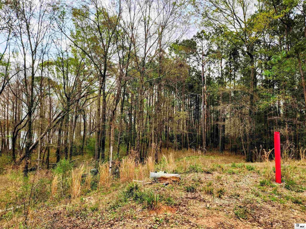 Picture 9