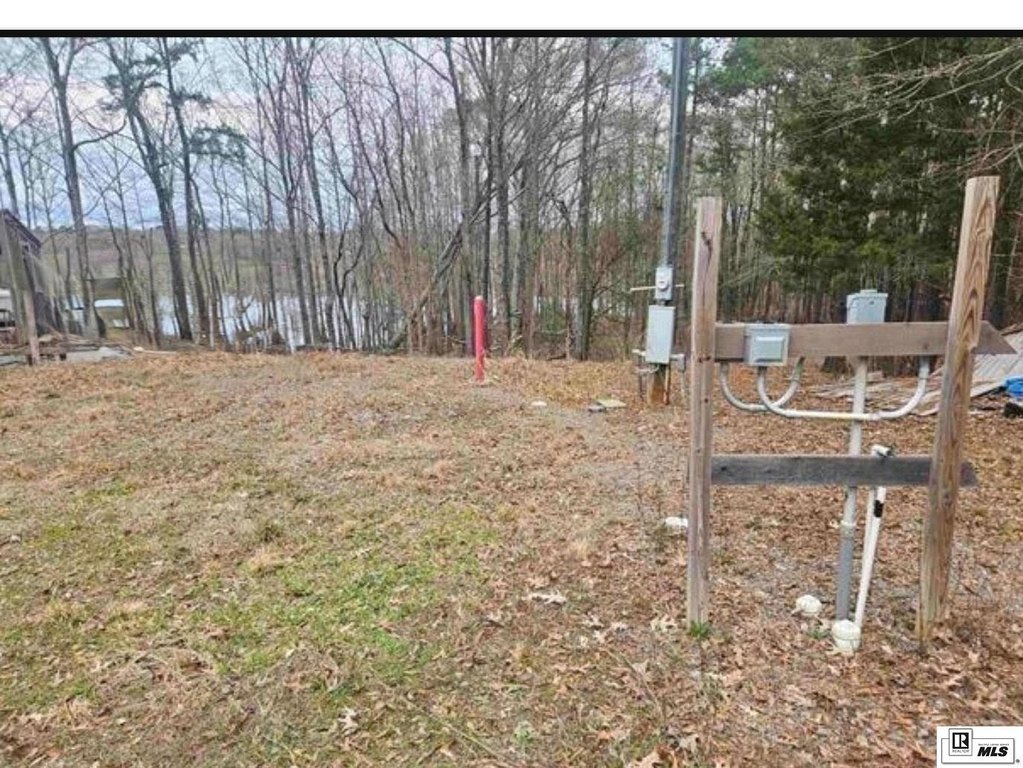 Picture 5