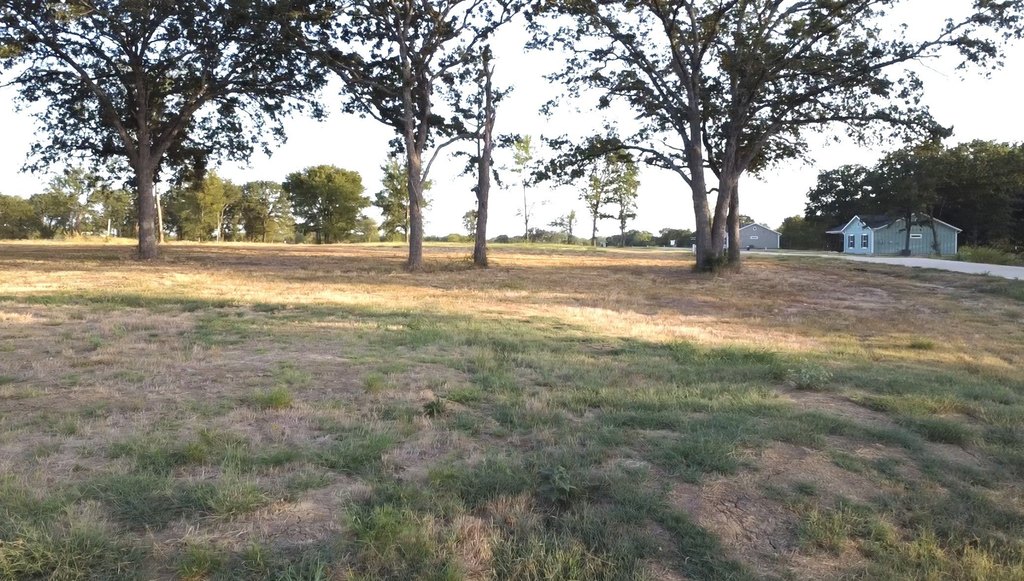 Picture 14