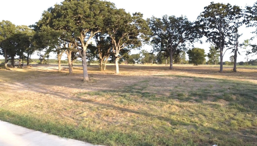 Picture 16