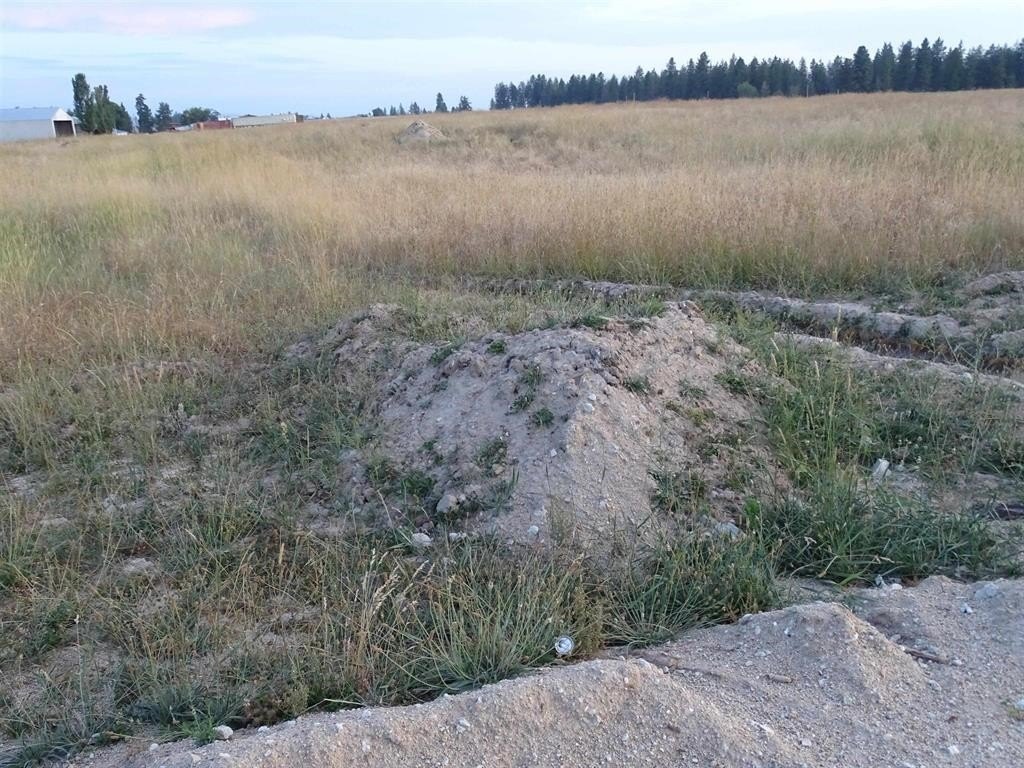 Picture 10