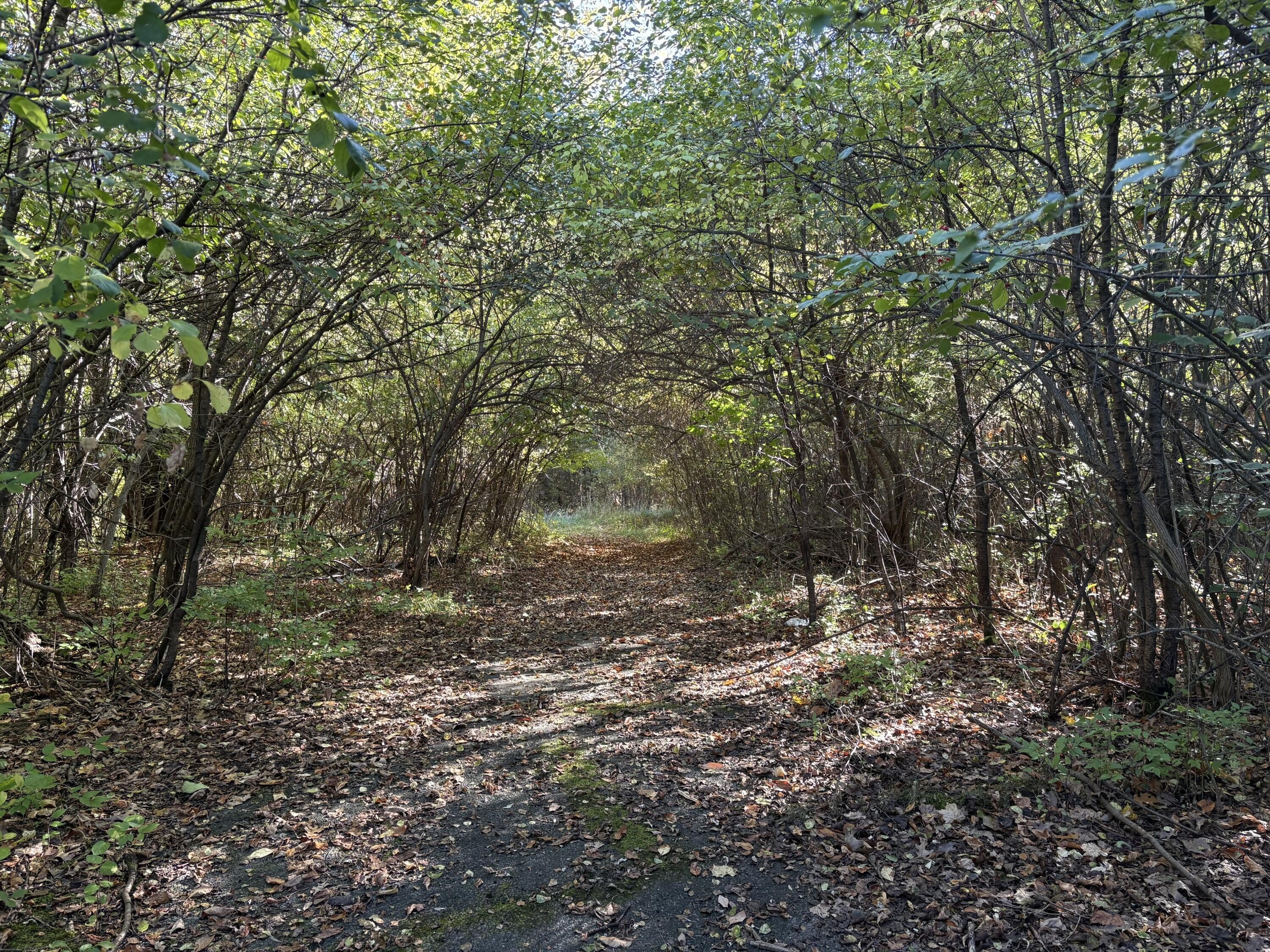 Prime Land in Blackman Township