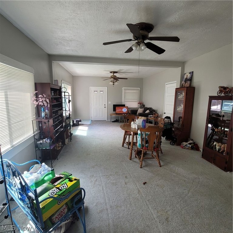 Picture 15