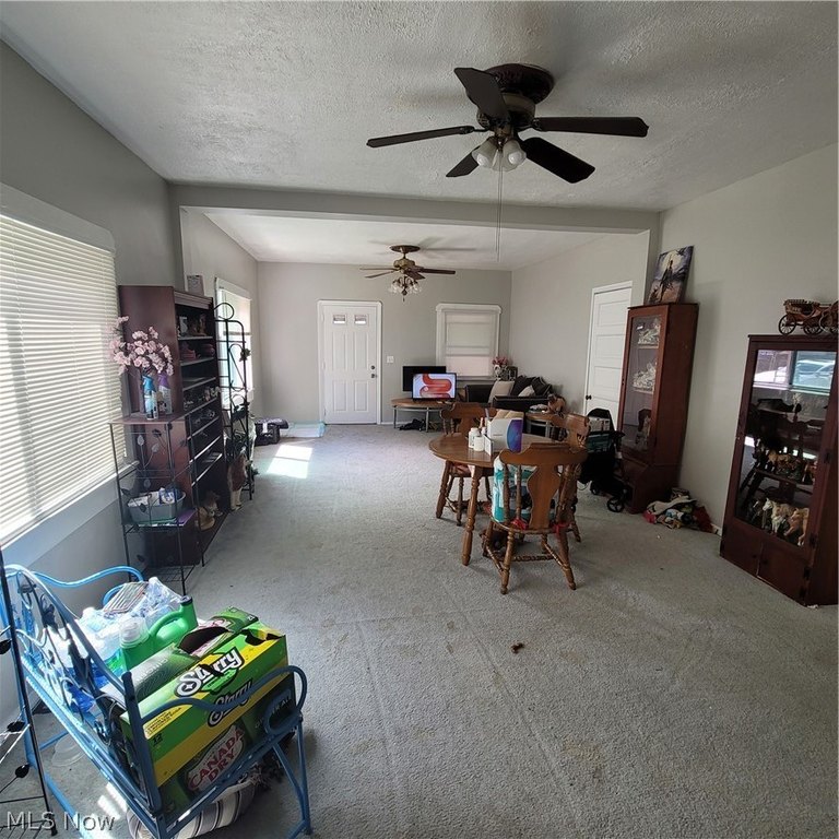 Picture 14