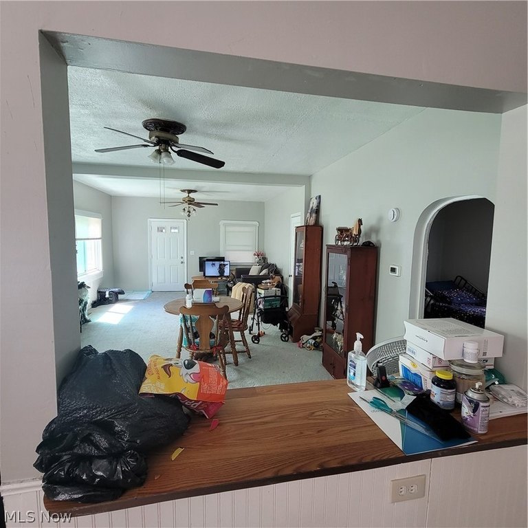 Picture 20