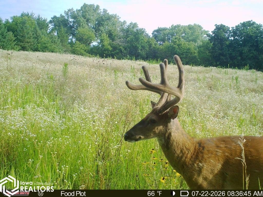 Picture 19