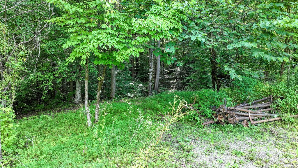 Picture 16