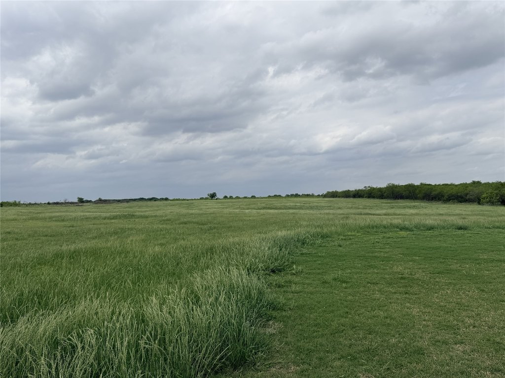 Picture 20