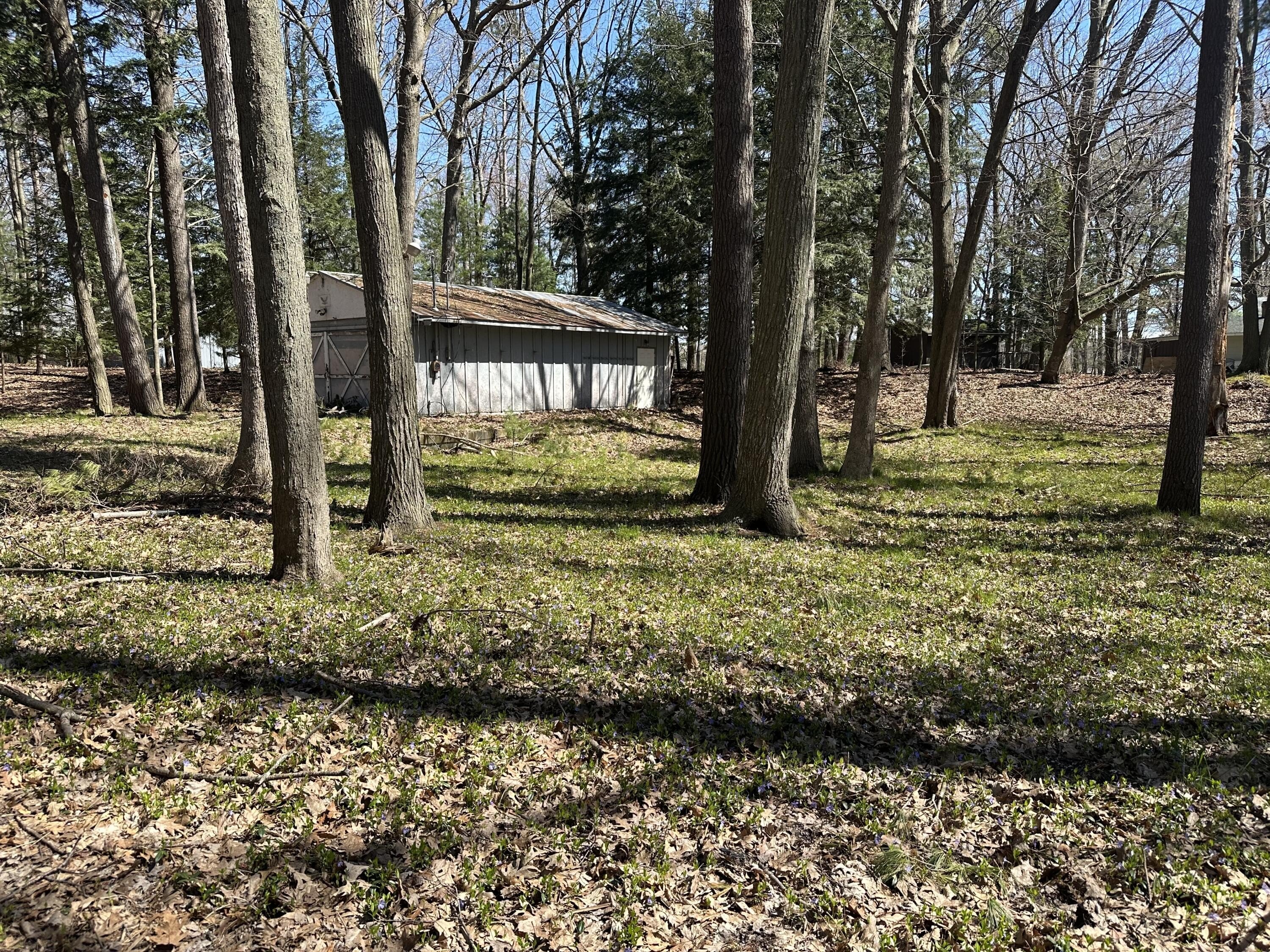 Wooded Lot Near Lake Michigan
