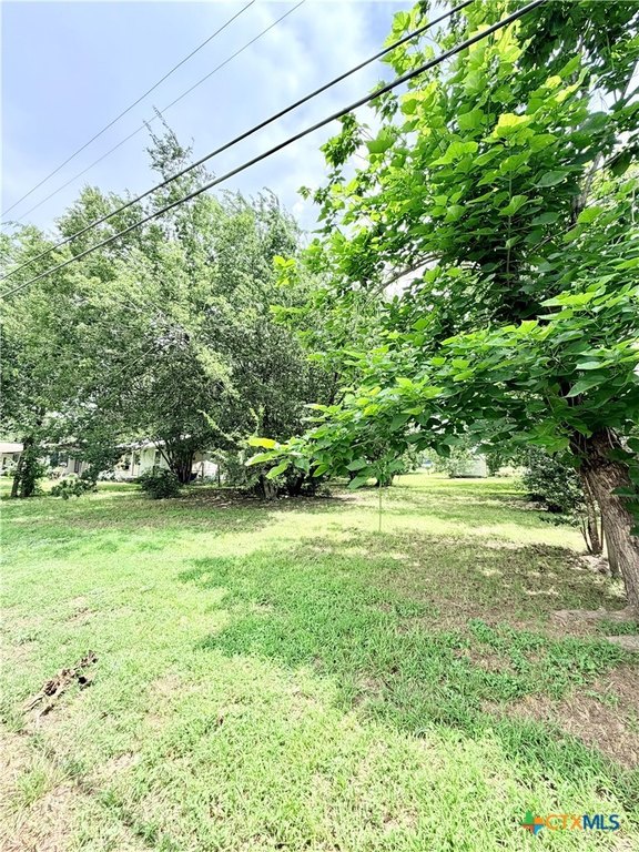 Picture 2