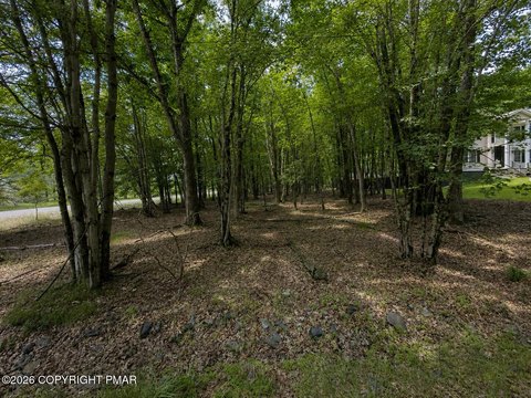 LAND - Albrightsville, PA