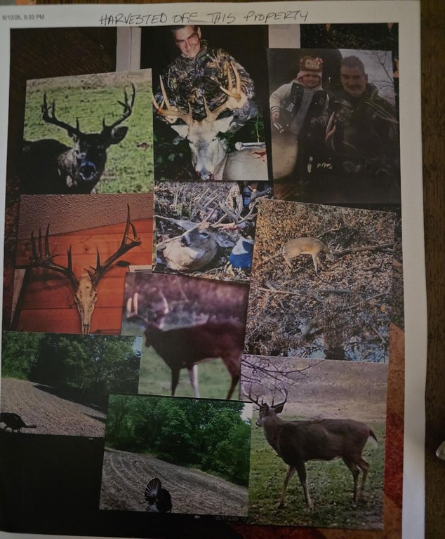 Picture 4