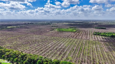 8.53 Acres in Fellsmere, FL