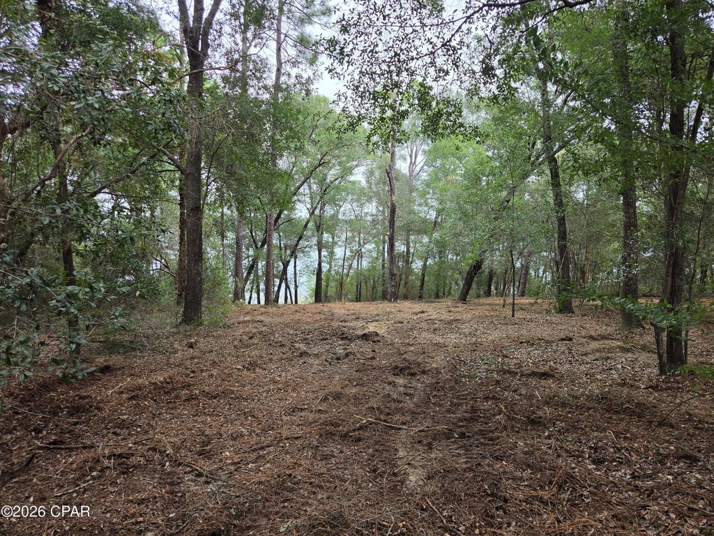 Picture 14