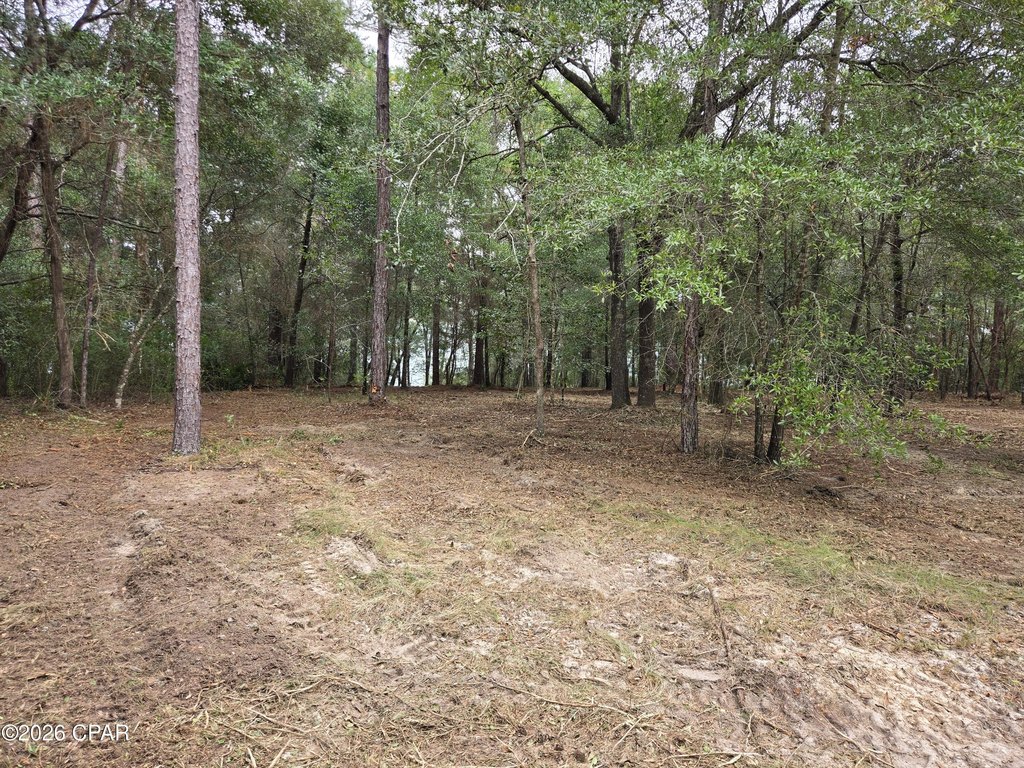 Picture 12