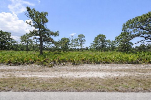 Vacant Lot in Placida