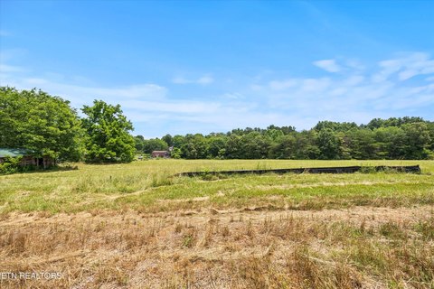 Building Lots in Picturesque Setting