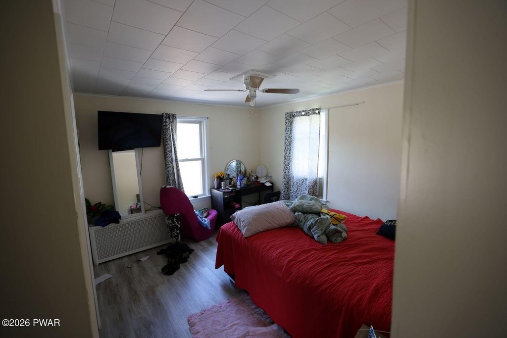 Picture 8