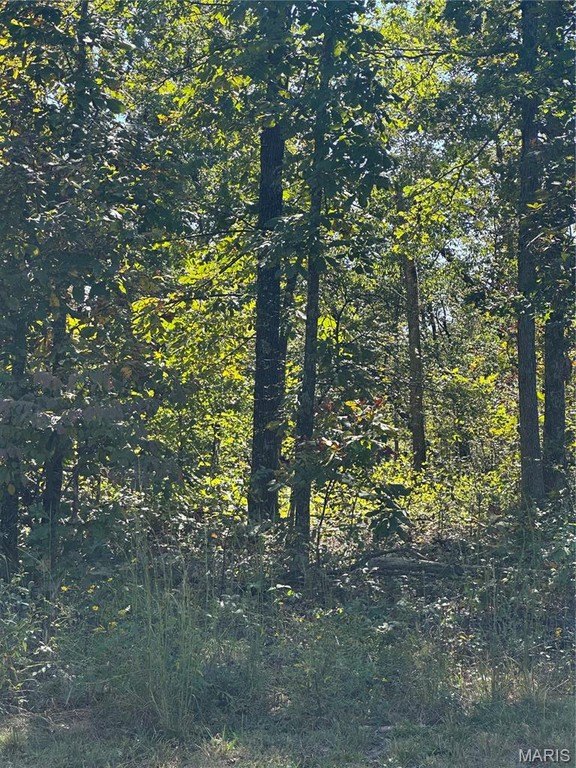 Wooded Acreage Near Doniphan