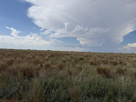 Land, Slaton, TX