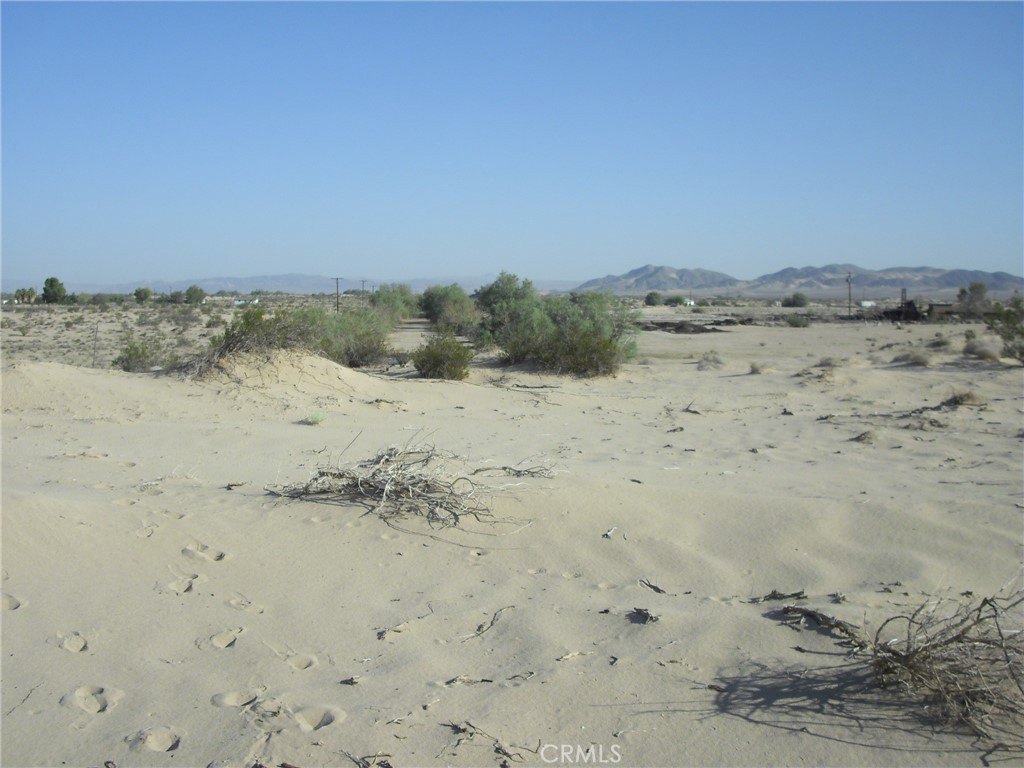 Picture 12