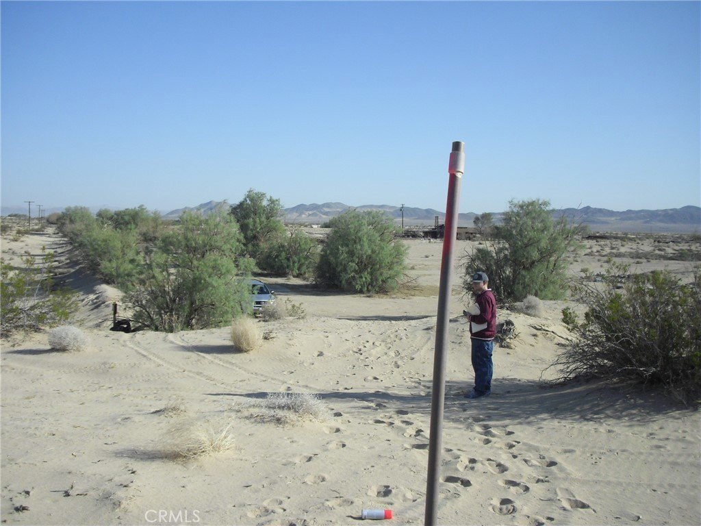 Picture 15